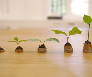 Festgeld-Zinsen überschreiten Zenit